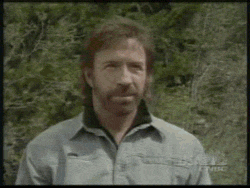 Chuck Norris  - Página 2 Chuck-real