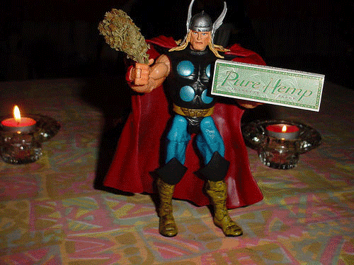 [Imagen: anigif_thor-roll-joint-9946-1233789850-0.gif]